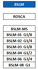 BSLM